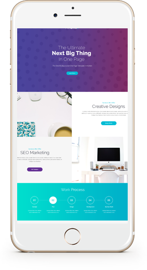 Software Development Services By TechXpert IT Solutions